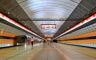 V pražském metru se zabydlela chráněná kavka. Černá pasažérka už dva týdny uniká odchytu