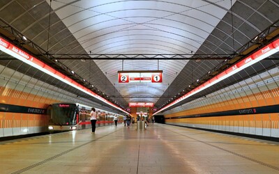 V pražském metru se zabydlela chráněná kavka. Černá pasažérka už dva týdny uniká odchytu