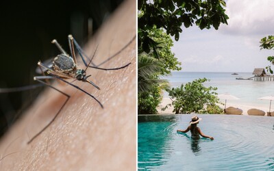 V týchto exotických krajinách môže byť bodnutie komárom smrteľné. ÚVZ radí, ako sa chrániť pred maláriou