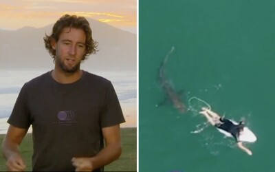 Australského surfaře téměř sežral žralok, varoval ho speciální dron pobřežní stráže