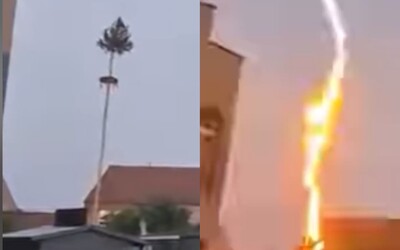 VIDEO: Blesk na Záhorí zasiahol postavený máj. Strom po zásahu zhorel