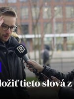 VIDEO: Brčko, kobliha či plnovous. Na výročie rozdelenia Československa sme si ťa testovali z čestiny (Anketa)