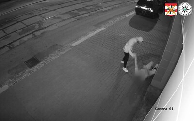 VIDEO: Brněnští kriminalisté pátrají po útočníkovi, který surově zbil a okradl třiašedesátiletého muže