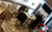 VIDEO: Brutálny útok v Petržalke. Agresor v bare dobil muža krígľom