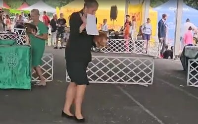 VIDEO: Češka si na výstavě psů vybila zlost na svém mazlíčkovi, jeho reakce trhá srdce