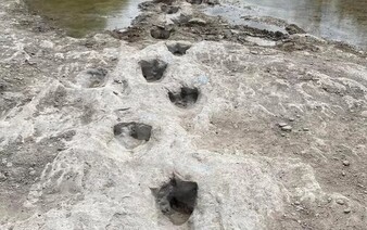 VIDEO: Dinosauří stopy staré více než 110 milionů let byly objeveny ve vyschlé řece v Texasu