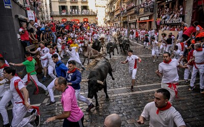 VIDEO: Drsný běh býků ve Španělsku je děsivý pro lidi i pro zvířata. Letos se zranilo již 10 návštěvníků