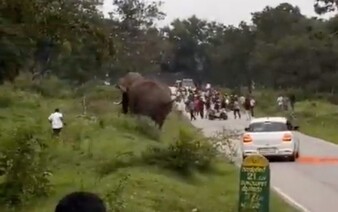 VIDEO: Fotka so slonom sa zmenila na nebezpečný útok. Muž v Indii utrpel pomliaždeniny a dostal pokutu