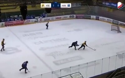 VIDEO: Hokejista Havířova přetáhl soupeře hokejkou přes hlavu, dostal stopku na 20 zápasů