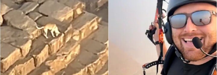 VIDEO: Jak se tam dostal? Video zachytilo psa na vrcholu pyramidy