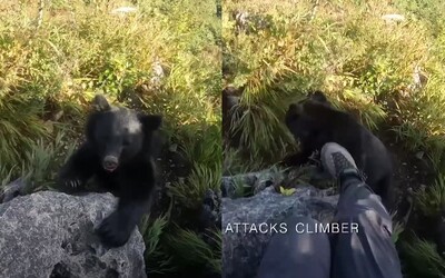 VIDEO: Japonca napadol na horách medveď, ubránil sa mu ako skutočný Tarzan. Maco utekal kadeľahšie