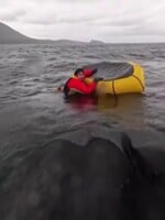 VIDEO: Kajakára pohltila veľryba na mori. Neskôr ho vypľula a nechala bez zranení
