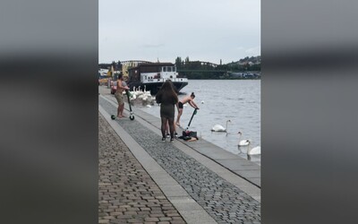 VIDEO: Mladíci v Praze sjížděli s elektrickými koloběžkami do Vltavy. Zřejmě budou platit vysokou finanční náhradu