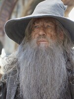 VIDEO: Muž převlečený za Gandalfa potkal při obcházení hospod Iana McKellena, herce této postavy. Je z toho hit na TikToku