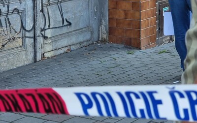VIDEO: Muž v Brně pobodal školačku, byl zřejmě zdrogovaný
