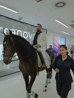 VIDEO: Muž v Českých Budějoviciach prišiel na koni do nákupného centra. Chcel požiadať svoju partnerku o ruku