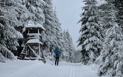 VIDEO: Na Šumavě klesla teplota pod nulu a objevil se první sníh, mrkni na záběry