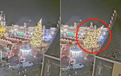 VIDEO: Na vianočných trhoch v Belgicku sa zrútil 20-metrový strom. Jedna žena tragédiu neprežila