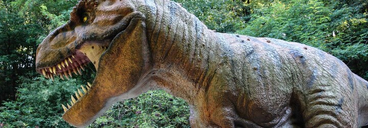VIDEO: Nic lepšího už dneska neuvidíš. Napínavé finále mistrovství světa tyranosaurů rozsekl až fotofiniš
