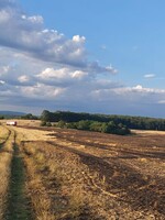 VIDEO: Obrovský požiar slamy pri Poltári: Zasahovalo 40 hasičov z piatich okresov