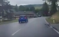 VIDEO: Opitá vodička pri Medzilaborciach zbesilo jazdila zo strany na stranu. Dychová skúška potvrdila obavy policajtov