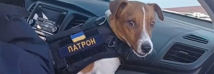 VIDEO: Pes Patron pomáhá pyrotechnikům na Ukrajině hledat výbušná zařízení 