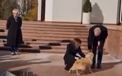 VIDEO: Pes moldavskej prezidentky pohrýzol prezidenta Rakúska