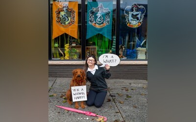 VIDEO: Pes umí místo klasických povelů zaklínadla z Harryho Pottera