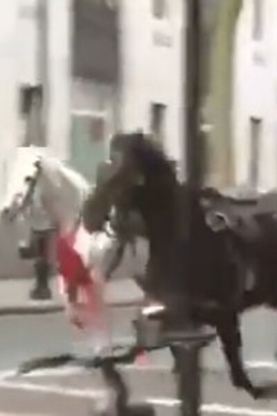 VIDEO: Po Londýne pobehovali splašené kone. Zranili piatich ľudí a vrazili do autobusu