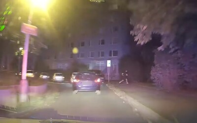 VIDEO: Po řidiči zbyli v autě spolujezdci, psi a pervitin. Sám se před policií schoval do křoví