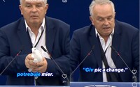 VIDEO: Radačovský vypustil v europarlamente živú holubicu. „Gív pís e čejnďž,“ vyhlásil