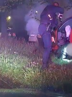 VIDEO: Řidič v Praze ujížděl policistům, až naboural do stromu. Měl zákaz řízení a auto plné kradených věcí