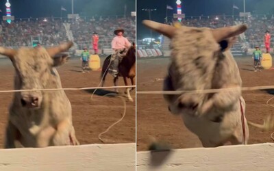 VIDEO: Rozzuřený býk se rozběhl k divákům a přeskočil plot. Lidé utíkali ze svých míst, nikdo se naštěstí nezranil