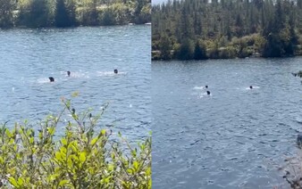 VIDEO: Skupina turistov si pomýlila Štrbské pleso s aquaparkom. Za kúpanie im hrozí pokuta