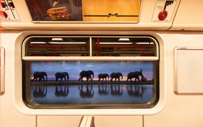 VIDEO: Sloni a lvi v pražském metru? Dopravní podnik zkouší nový reklamně-informační systém, takto vypadá