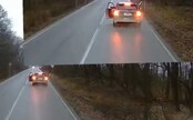 VIDEO: Slovenka zastala v strede cesty rovno pred kamiónom. Nezvyčajné správanie vysvetlila neskôr, keď zverejnili záhadné video
