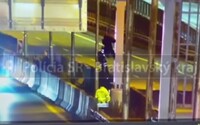 VIDEO: Slovenskí policajti v poslednej sekunde zachránili psychicky chorého muža. Život si chcel zobrať na diaľnici D2