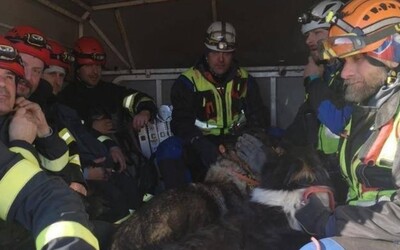VIDEO: Slovenskí záchranári už z trosiek v Turecku vyslobodili prvé osoby. V mrazoch tvrdo pracujú 20 hodín denne