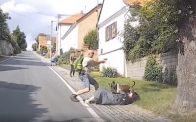VIDEO: Staford se na Plzeňsku vrhl na ženu se psem v náručí. Pomohla až střelba
