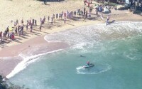 VIDEO: Stovky vydesených ľudí utekali von z mora, keď žraloky zaútočili na delfína. V Sydney museli uzavrieť pláže