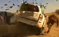 VIDEO: Takmer prišiel o život. Pri policajnej kontrole do zastaveného vozidla narazilo ďalšie auto
