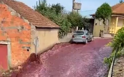 VIDEO: Ulice obce v Portugalsku zaplavili viac než 2 milióny litrov červeného vína. Unikli z miestneho liehovaru