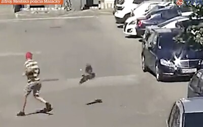 VIDEO: V Malackách zaútočila na muža agresívna vrana. Musel pred ňou utekať