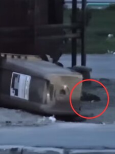 VIDEO: V Petržalke sa premnožili potkany. Obyvatelia sa boja vyhodiť smeti, pri kontajneroch sa to nimi hemží