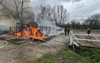 VIDEO: V Praze hořely stáje, zahynulo osm koní