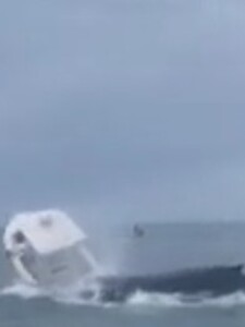 VIDEO: Veľryba prevrátila loď s rybármi