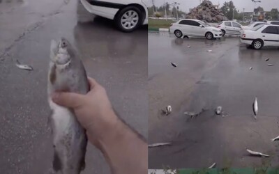 VIDEO: Z oblohy „pršali“ živé aj mŕtve ryby. Šialené zábery z Iránu majú jednoduché vysvetlenie