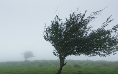 VÝSTRAHA: Meteorologové varují před silným větrem. Podívej se, kde udeří