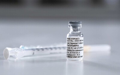 Vakcíny proti koronavírusu už testujú na ľuďoch. Vlastné látky skúšajú Briti aj Číňania
