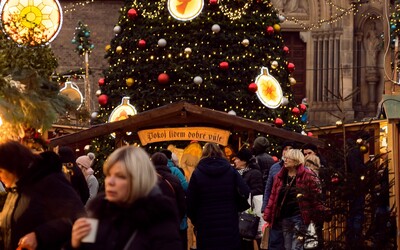 Vánoční trhy 2023: Koukni, kdy se v českých městech rozsvítí sváteční stromky